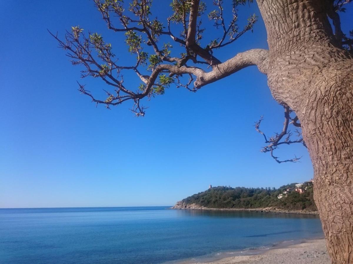 Апартаменты Un Po Di Relax A Pochi Passi Dal Mare! Арбатакс Экстерьер фото